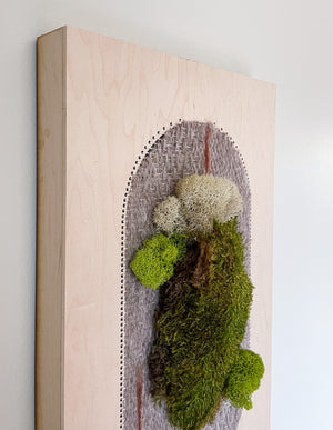 Preserved Moss Tapestries