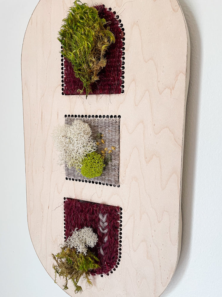 
            
                Load image into Gallery viewer, Preserved Moss Tapestries
            
        